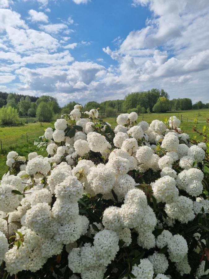 Woodhouse Spreewiesen Burig Kültér fotó